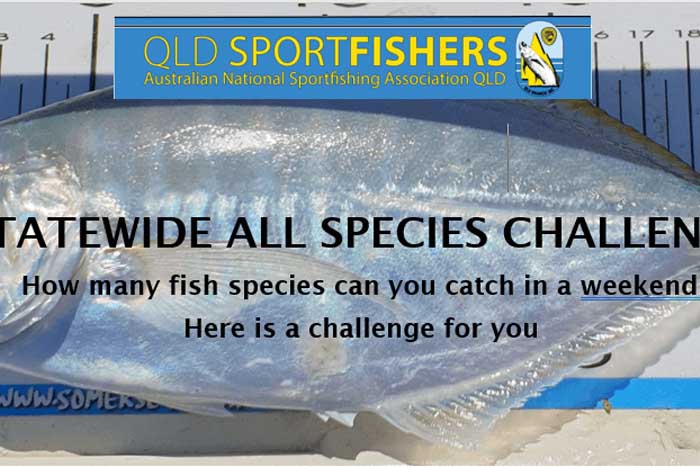 2024 QLD SPORTFISHERS STATEWIDE SPECIES CHALLENGE!